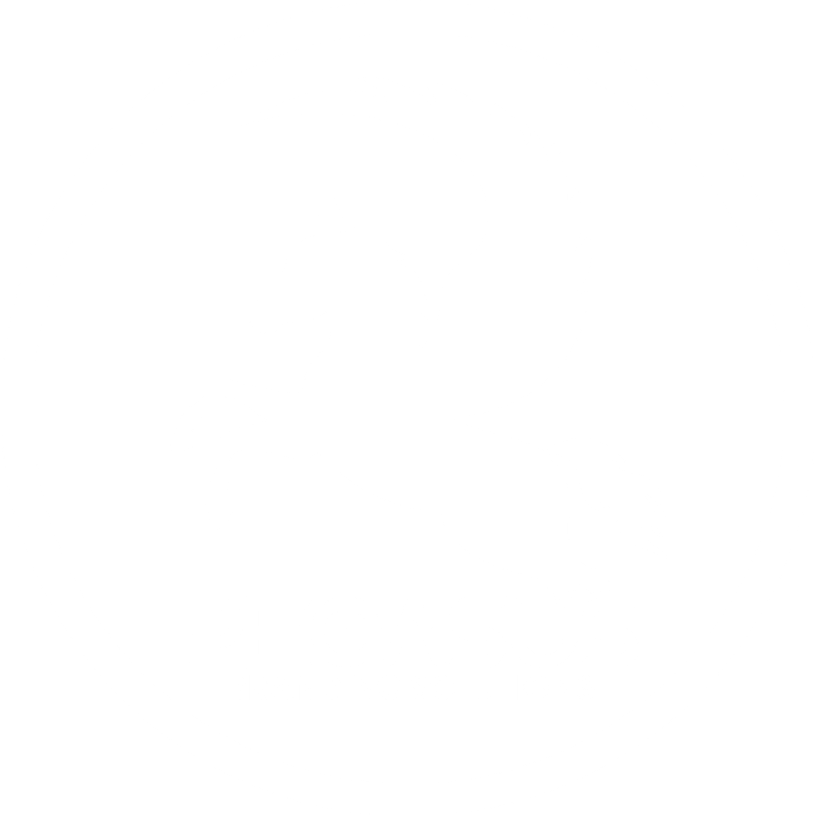 pegasusbranding.in